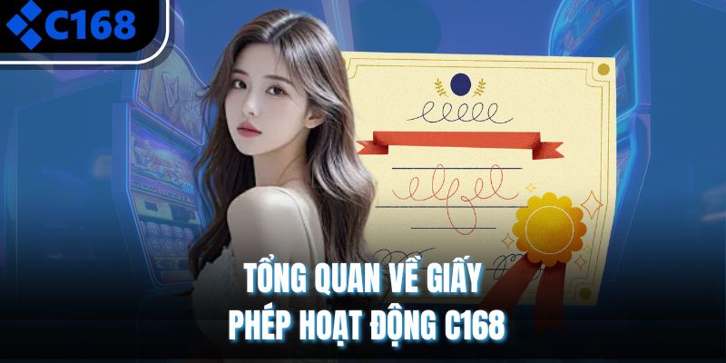 Tổng quan về giấy phép hoạt động C168